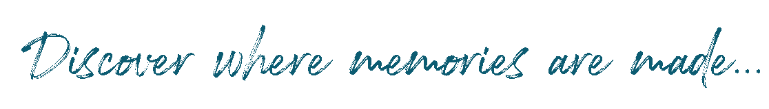 Braddicks Holiday Park North Devon Discover where memories are made